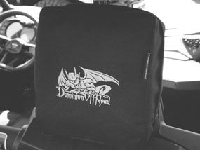 headrest storage bag